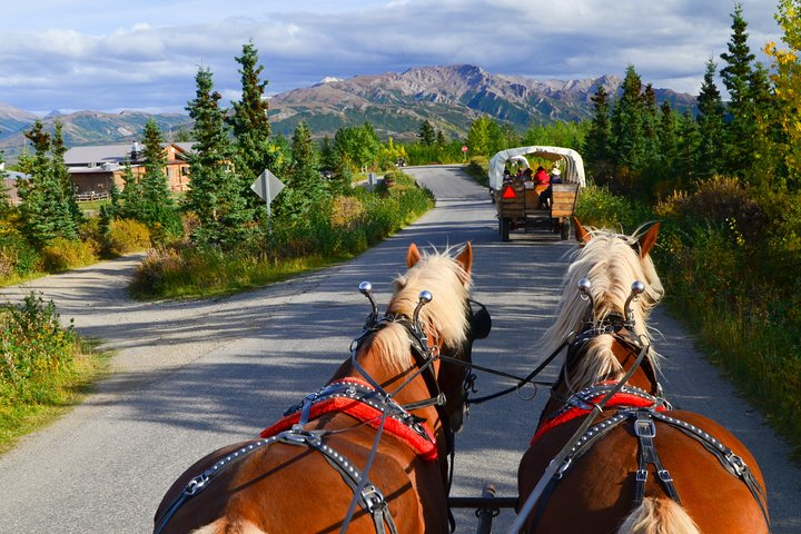 Covered wagon tour on a beautiful day